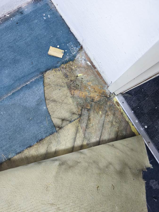 Podignut tepison ispod kojeg je dotrajali parket